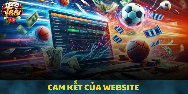 Cam kết của nền tảng với quy định chính sách bảo mật 2025